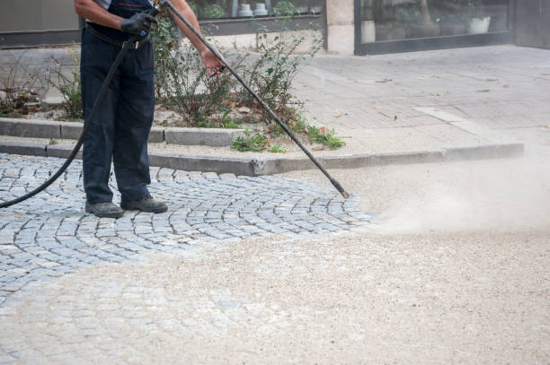 Best Driveway Pressure Washing  in Gautier, MS